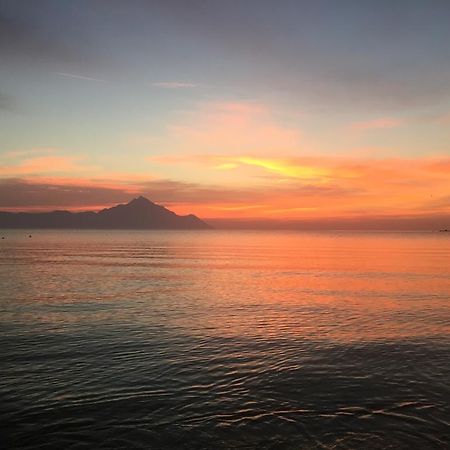 Sunrise Hotel 萨尔蒂 外观 照片